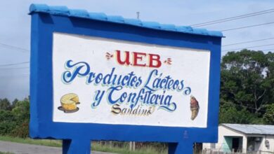 Combinado Lácteo en Sandino