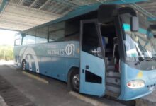 Nuevo ómnibus arrendado cubrirá ruta Pinar-Sandino