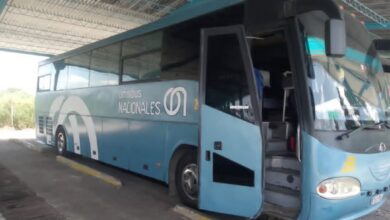 Nuevo ómnibus arrendado cubrirá ruta Pinar-Sandino